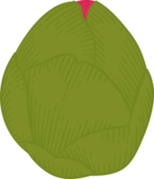 illustrazione disegnata a mano del fiore della camelia rosa. png