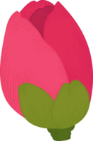 Pink camellia flower hand drawn illustration. png