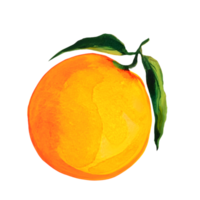 orange watercolor illustration png
