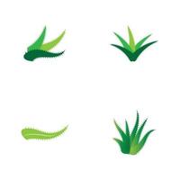 Aloe vera logo vector ilustration template