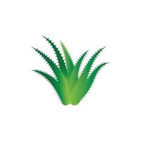 Aloe vera logo vector ilustration template