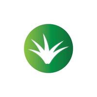 Aloe vera logo vector ilustration template