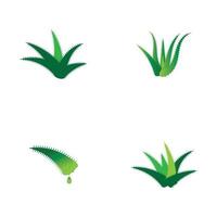 Aloe vera logo vector ilustration template