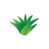 Aloe vera logo vector ilustration template