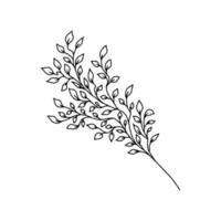 Hand drawn Stem with Leaves, Twig and Grass in doodle style. Tree Art Design. Isolated black on white elements for design vector