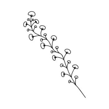 Hand drawn Stem with Leaves, Twig and Grass in doodle style. Tree Art Design. Isolated black on white elements for design vector