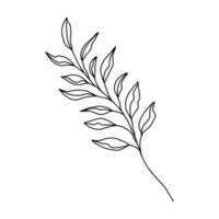 Hand drawn Stem with Leaves, Twig and Grass in doodle style. Tree Art Design. Isolated black on white elements for design vector