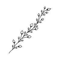 Hand drawn Stem with Leaves, Twig and Grass in doodle style. Tree Art Design. Isolated black on white elements for design vector