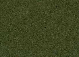 159,900+ Dark Green Paper Texture Stock Photos, Pictures & Royalty