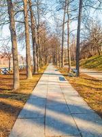 HDR Path among trees photo