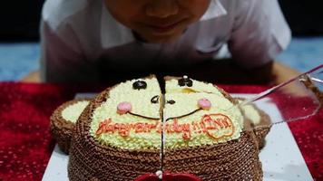el niño está felizmente cortando pastel en su fiesta de cumpleaños - concepto de celebración de fiesta de cumpleaños feliz y alegre video