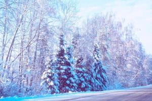 bosque de invierno congelado con árboles cubiertos de nieve. foto