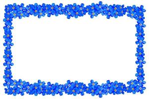 spring flower forget-me-not photo