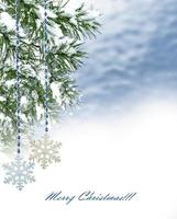 Trees in winter forest photo