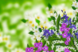 jasmine flowers, iris and lily of the valley photo