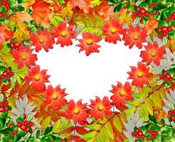 follaje de otoño. otoño de oro. el corazón del follaje de otoño foto