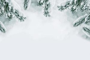 Frozen winter forest with snow covered trees. photo