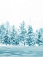 Frozen winter forest with snow covered trees. photo