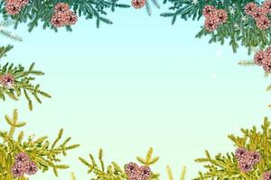 Winter christmas background. Snow-covered fir branches and cones. photo