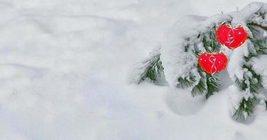 Snow-covered tree. Festive winter background. Two hearts. photo