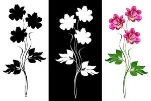 Colorful bright flowers peonies isolated on white background. photo