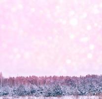 bosque de invierno congelado con árboles cubiertos de nieve. foto