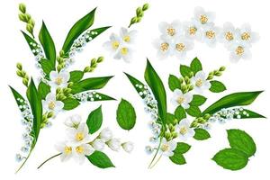 Spring flowers lily of the valley and jasmine photo