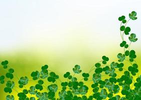 Green clover leaves on a background summer landscape photo