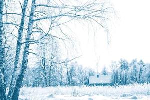 pueblo en el bosque cubierto de nieve de invierno. tarjeta de vacaciones foto