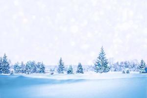 Frozen winter forest with snow covered trees. photo