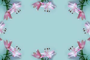 Bright colorful lily flowers. Floral background. photo