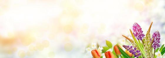 Bright and colorful flowers tulips on the background of spring landscape. photo