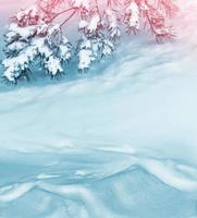 fondo de navidad con ramas de abeto cubiertas de nieve foto