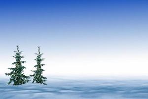 Frozen winter forest with snow covered trees. photo