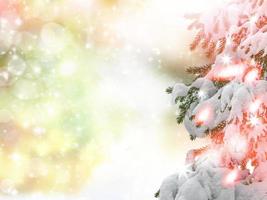 Winter landscape. Snow covered trees. christmas background photo