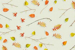 Bright colorful autumn foliage. Abstract background. Composition. photo