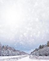 forest in the frost. Winter landscape. Snow covered trees. photo