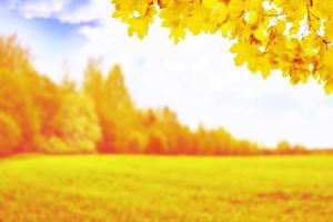 autumn landscape with bright colorful foliage. Indian summer. photo