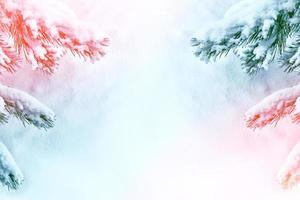 Frozen winter forest with snow covered trees. photo