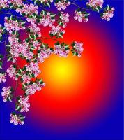 Spring landscape. Orchard. flowering branch photo
