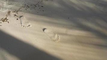 imágenes de las olas del mar dejando huellas en la arena dorada de la playa. Huellas en la arena lavada video