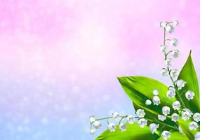 Spring landscape. flowers lily of the valley photo