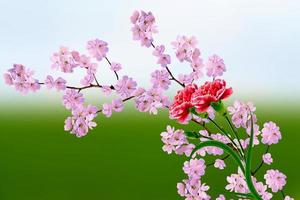 Spring flowering garden. photo