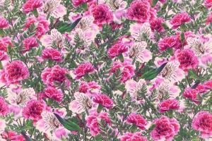 Floral background of bright colorful flowers alstroemeria and carnations. photo