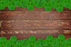 Green clover leaves on a background summer landscape photo