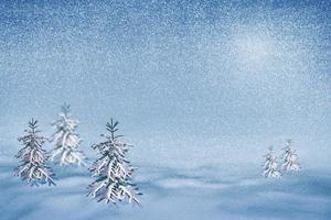 bosque de invierno congelado con árboles cubiertos de nieve. foto