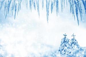 Frozen winter forest with snow covered trees. photo