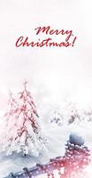 Christmas card. Winter landscape. Snow covered trees photo