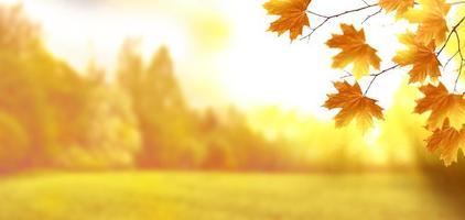 autumn landscape with bright colorful foliage. Indian summer. photo