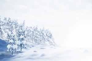 Frozen winter forest with snow covered trees. photo